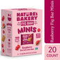 Nature's Bakery, Minis de Barra Fig de Frambuesa 1 oz, 20 Unidades